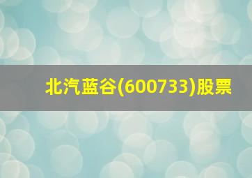 北汽蓝谷(600733)股票