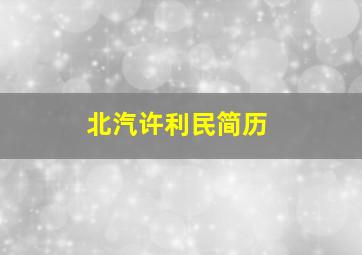 北汽许利民简历