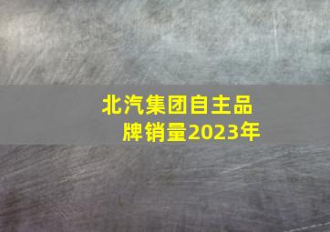 北汽集团自主品牌销量2023年