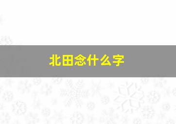 北田念什么字