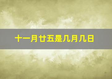 十一月廿五是几月几日