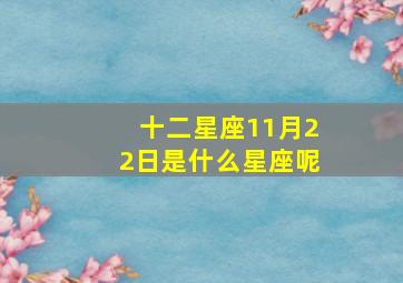 十二星座11月22日是什么星座呢