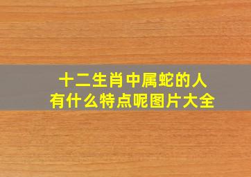 十二生肖中属蛇的人有什么特点呢图片大全