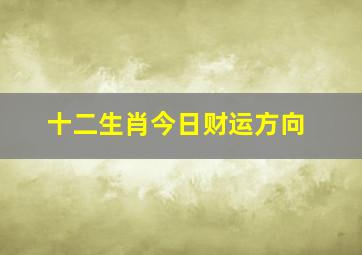 十二生肖今日财运方向