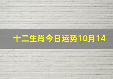 十二生肖今日运势10月14