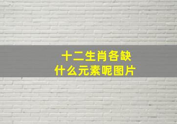 十二生肖各缺什么元素呢图片