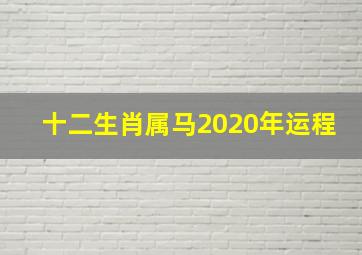 十二生肖属马2020年运程