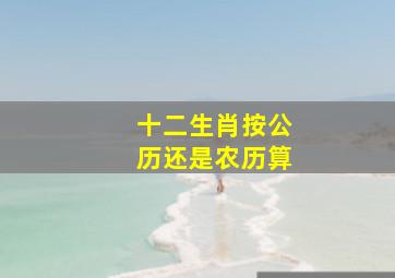 十二生肖按公历还是农历算