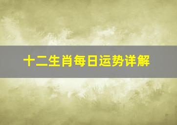 十二生肖每日运势详解