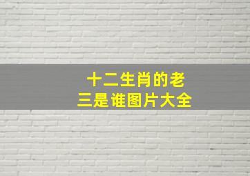 十二生肖的老三是谁图片大全