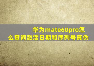 华为mate60pro怎么查询激活日期和序列号真伪