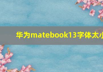 华为matebook13字体太小