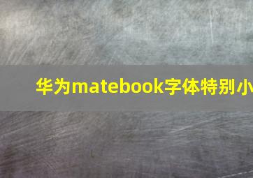 华为matebook字体特别小