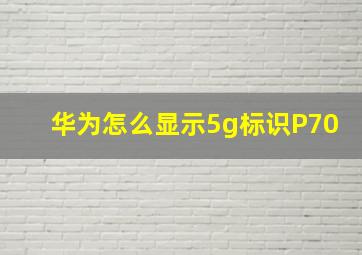 华为怎么显示5g标识P70