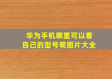 华为手机哪里可以看自己的型号呢图片大全