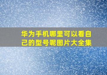 华为手机哪里可以看自己的型号呢图片大全集