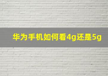 华为手机如何看4g还是5g