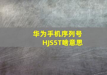 华为手机序列号HJS5T啥意思