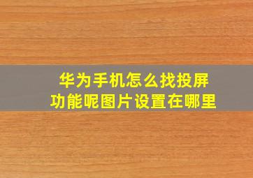 华为手机怎么找投屏功能呢图片设置在哪里