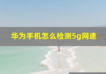 华为手机怎么检测5g网速