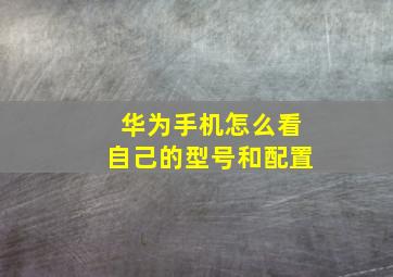 华为手机怎么看自己的型号和配置