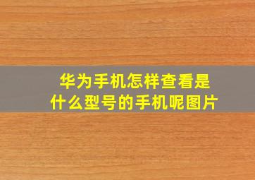 华为手机怎样查看是什么型号的手机呢图片