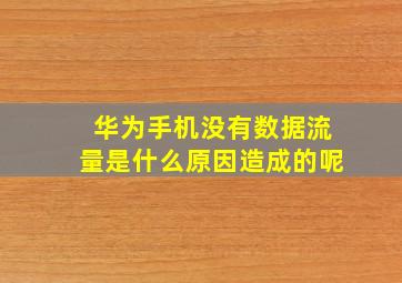 华为手机没有数据流量是什么原因造成的呢