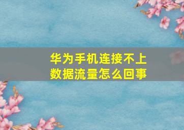 华为手机连接不上数据流量怎么回事