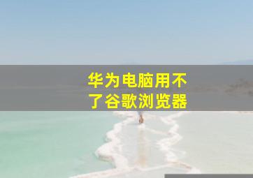 华为电脑用不了谷歌浏览器