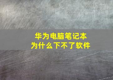 华为电脑笔记本为什么下不了软件