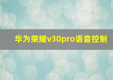 华为荣耀v30pro语音控制