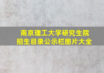 南京理工大学研究生院招生目录公示栏图片大全