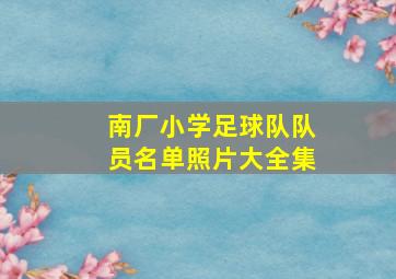 南厂小学足球队队员名单照片大全集