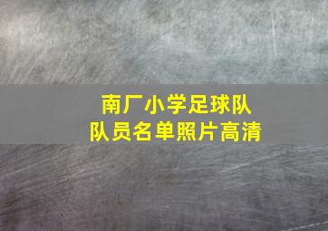 南厂小学足球队队员名单照片高清