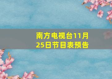 南方电视台11月25日节目表预告