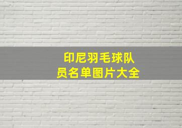 印尼羽毛球队员名单图片大全