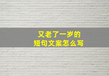 又老了一岁的短句文案怎么写