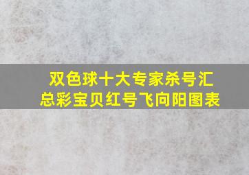 双色球十大专家杀号汇总彩宝贝红号飞向阳图表