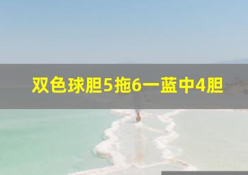 双色球胆5拖6一蓝中4胆