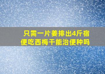 只需一片姜排出4斤宿便吃西梅干能治便种吗