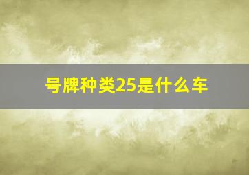 号牌种类25是什么车