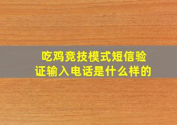 吃鸡竞技模式短信验证输入电话是什么样的