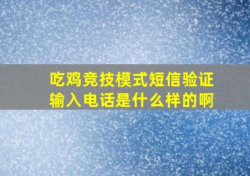 吃鸡竞技模式短信验证输入电话是什么样的啊