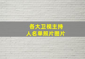 各大卫视主持人名单照片图片