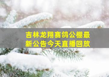 吉林龙翔赛鸽公棚最新公告今天直播回放