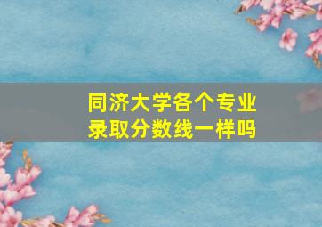 同济大学各个专业录取分数线一样吗