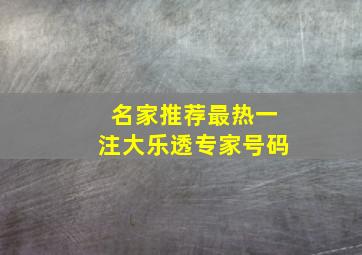 名家推荐最热一注大乐透专家号码