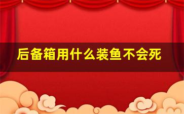 后备箱用什么装鱼不会死