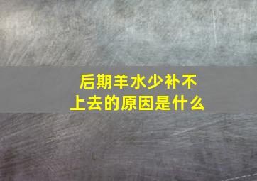 后期羊水少补不上去的原因是什么