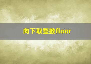 向下取整数floor